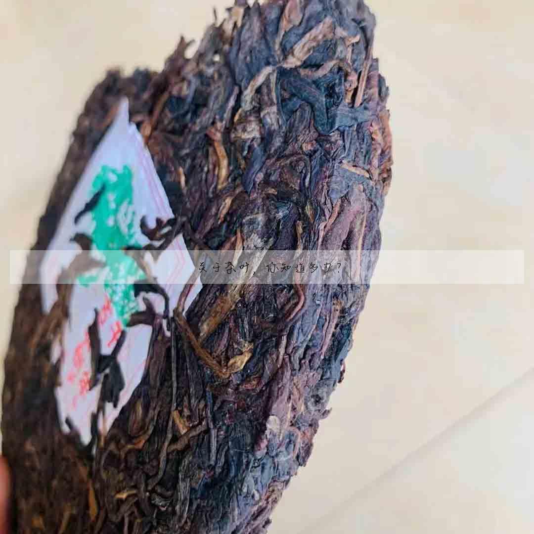 關于茶葉,你知道多少?