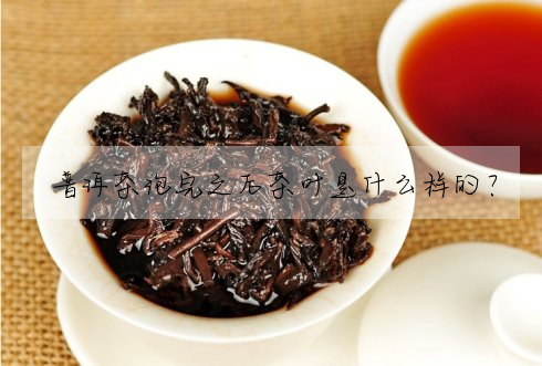 普洱茶泡完之後茶葉是什麼樣的?