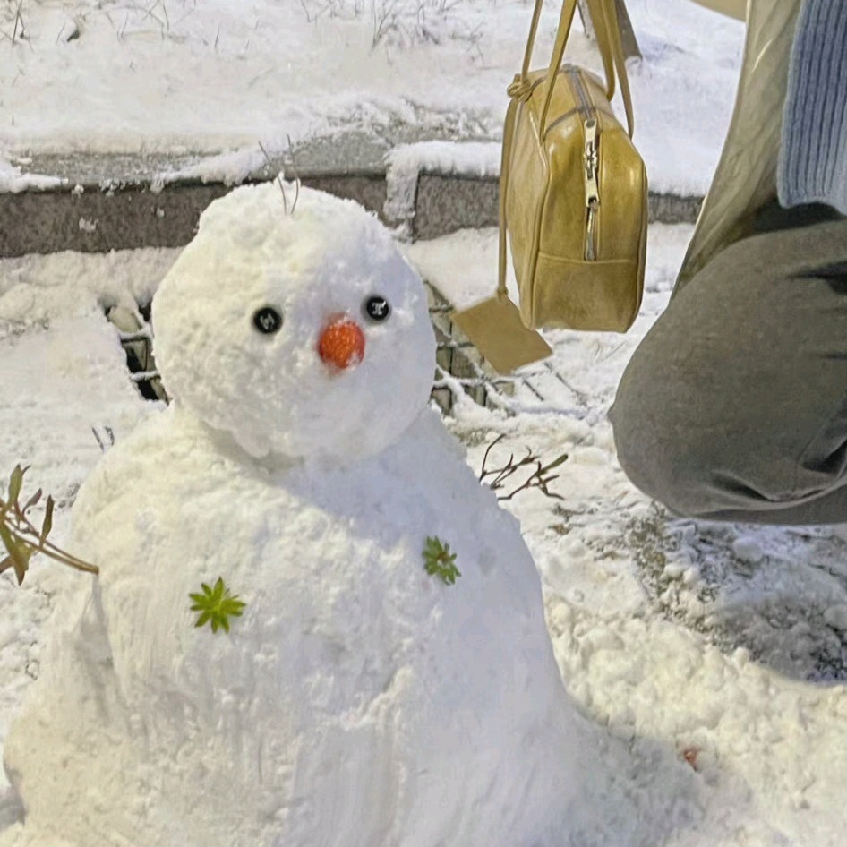 一组可爱雪人头像