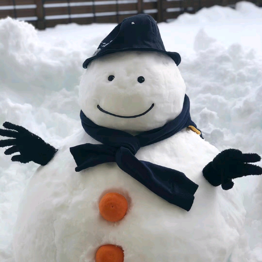 一组可爱雪人头像