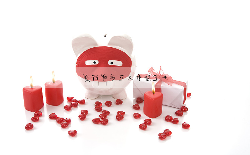 貴陽有多少大中型企業