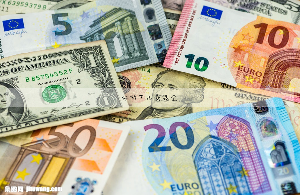 分析下幾支基金,