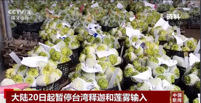 “干啥啥不行，摆烂第一名”（两岸观察）_腾讯新闻