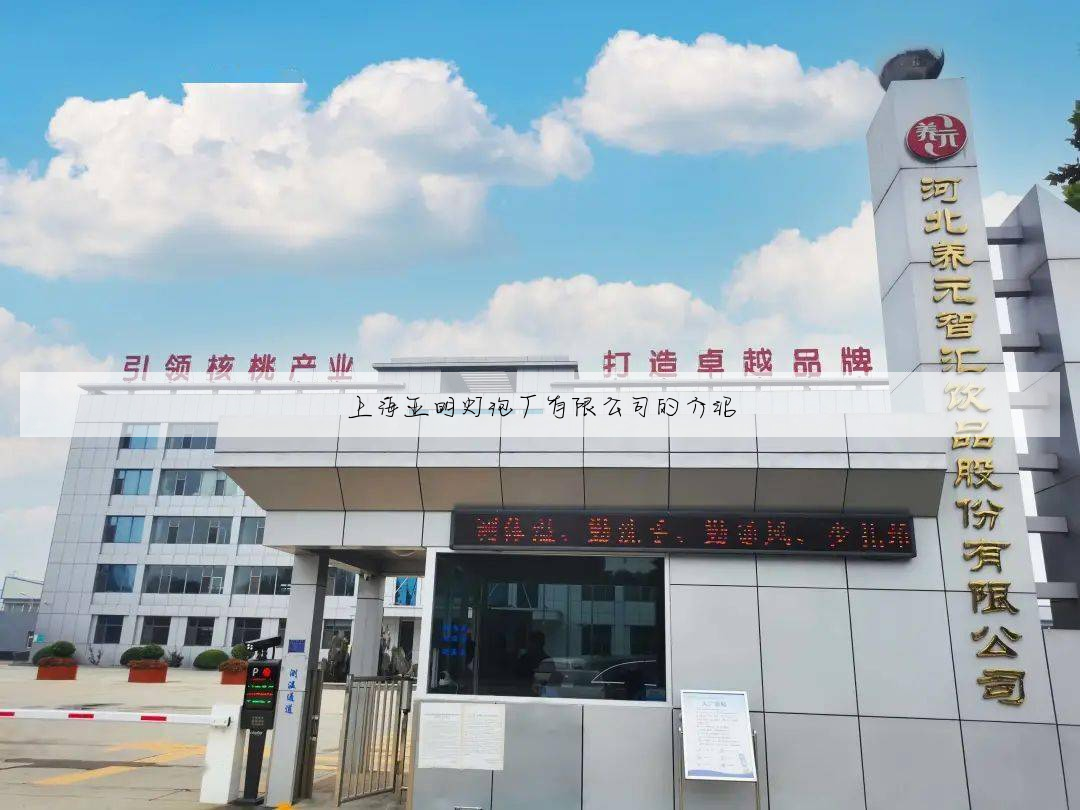 上海亚明灯泡厂有限公司的介绍