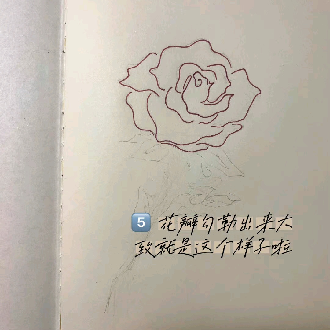 手绘玫瑰花教程来啦