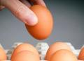【图文】为鸡蛋正名！《英国医学杂志》：吃鸡蛋与心血管病风险无关～#鸡蛋心血管疾病