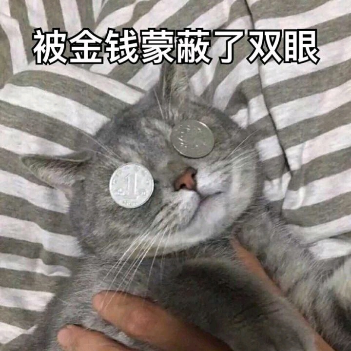 金钱文案沙雕，金钱文案沙雕搞笑