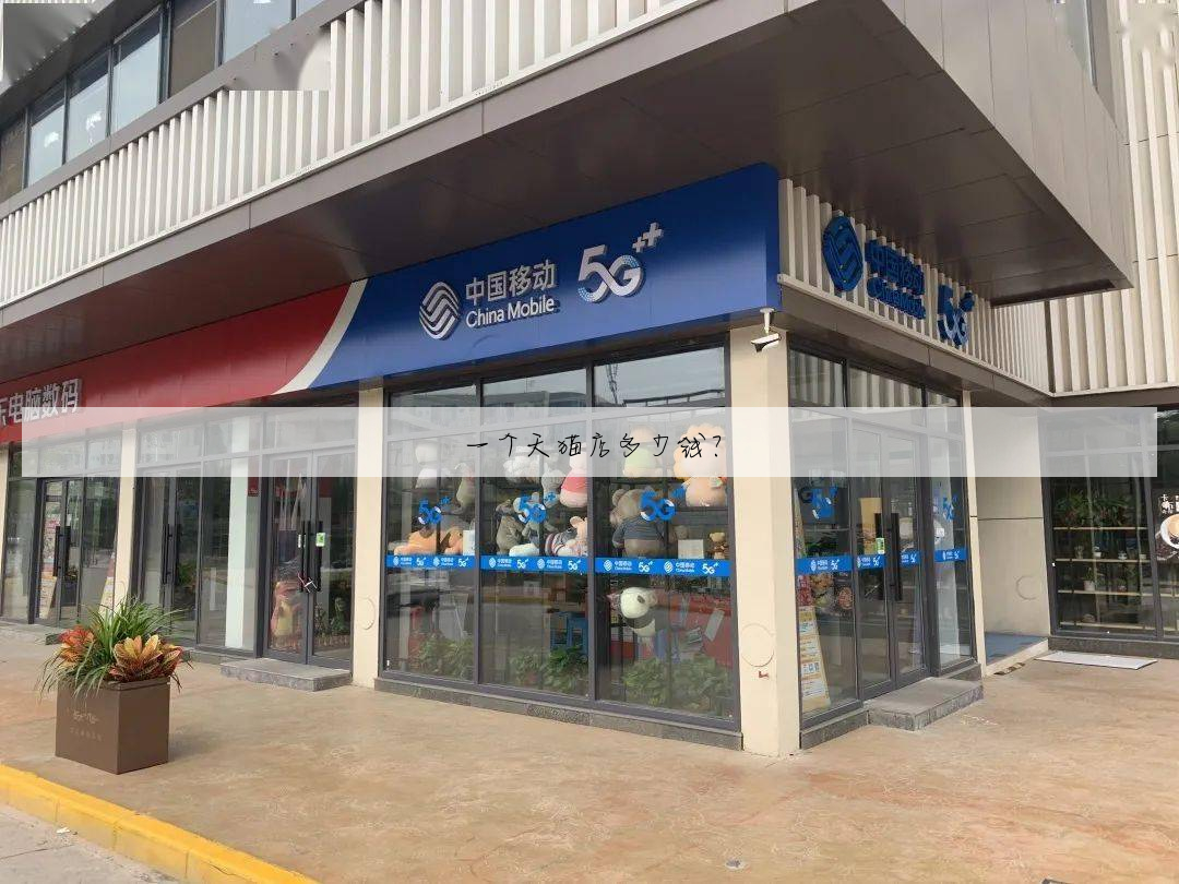 一个天猫店多少钱?