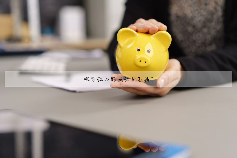 濰柴動力的發動機怎樣?