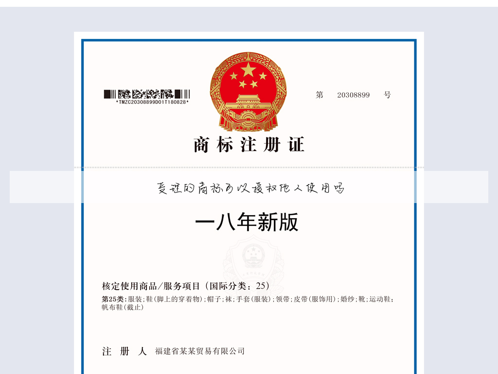受理的商标可以授权他人使用吗