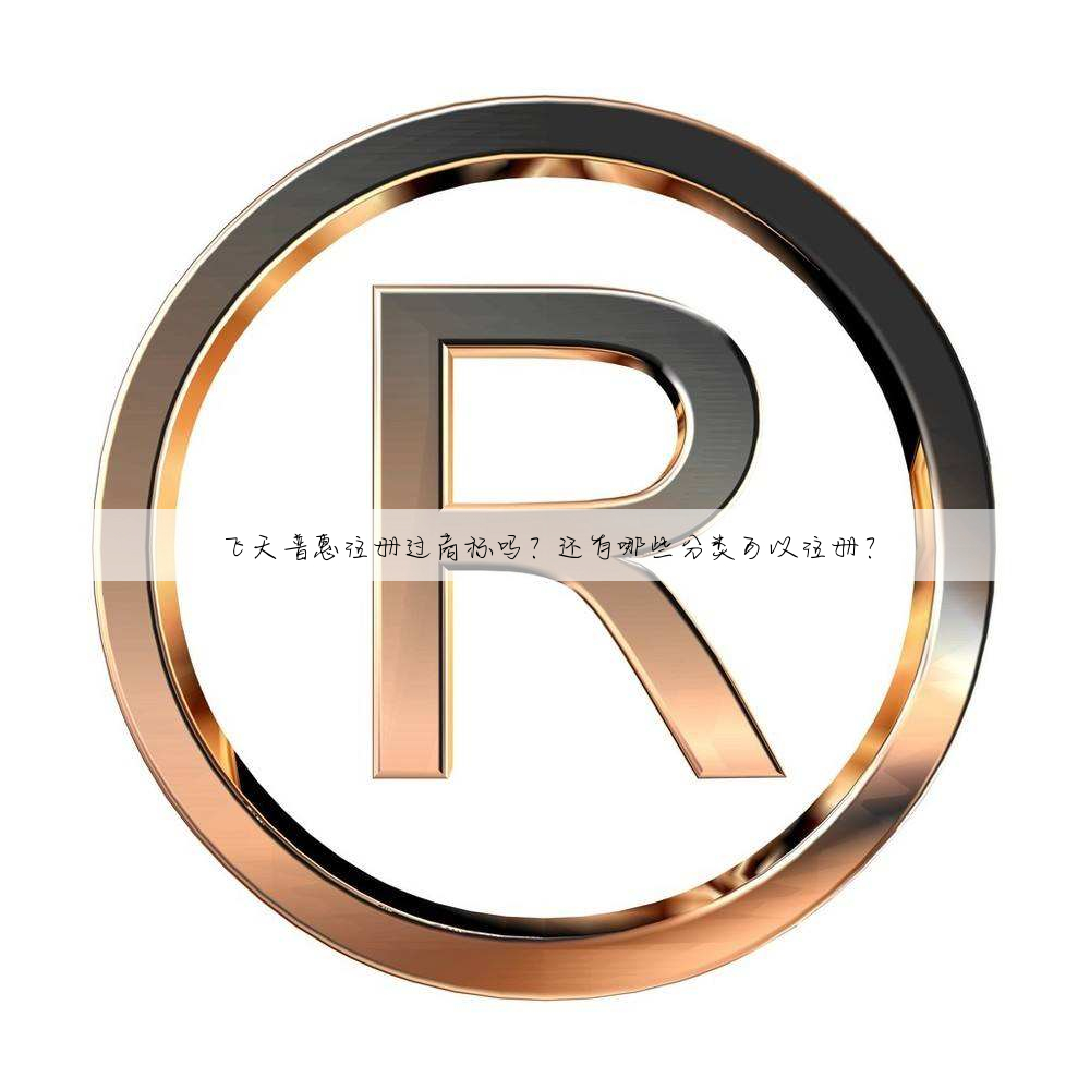 飞天普惠注册过商标吗?还有哪些分类可以注册?
