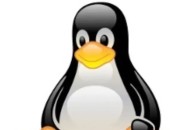 Linux cp相关文章