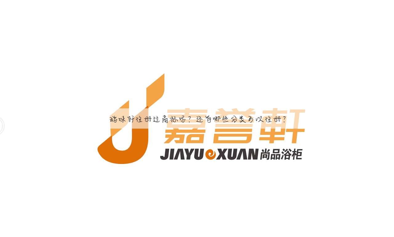 鹅味轩注册过商标吗?还有哪些分类可以注册?