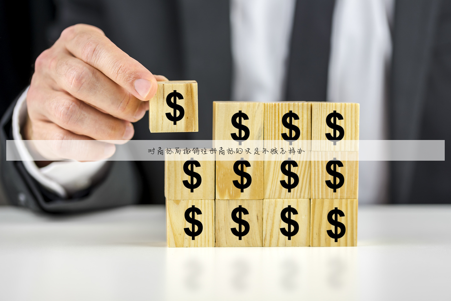 对商标局撤销注册商标的决定不服怎样办