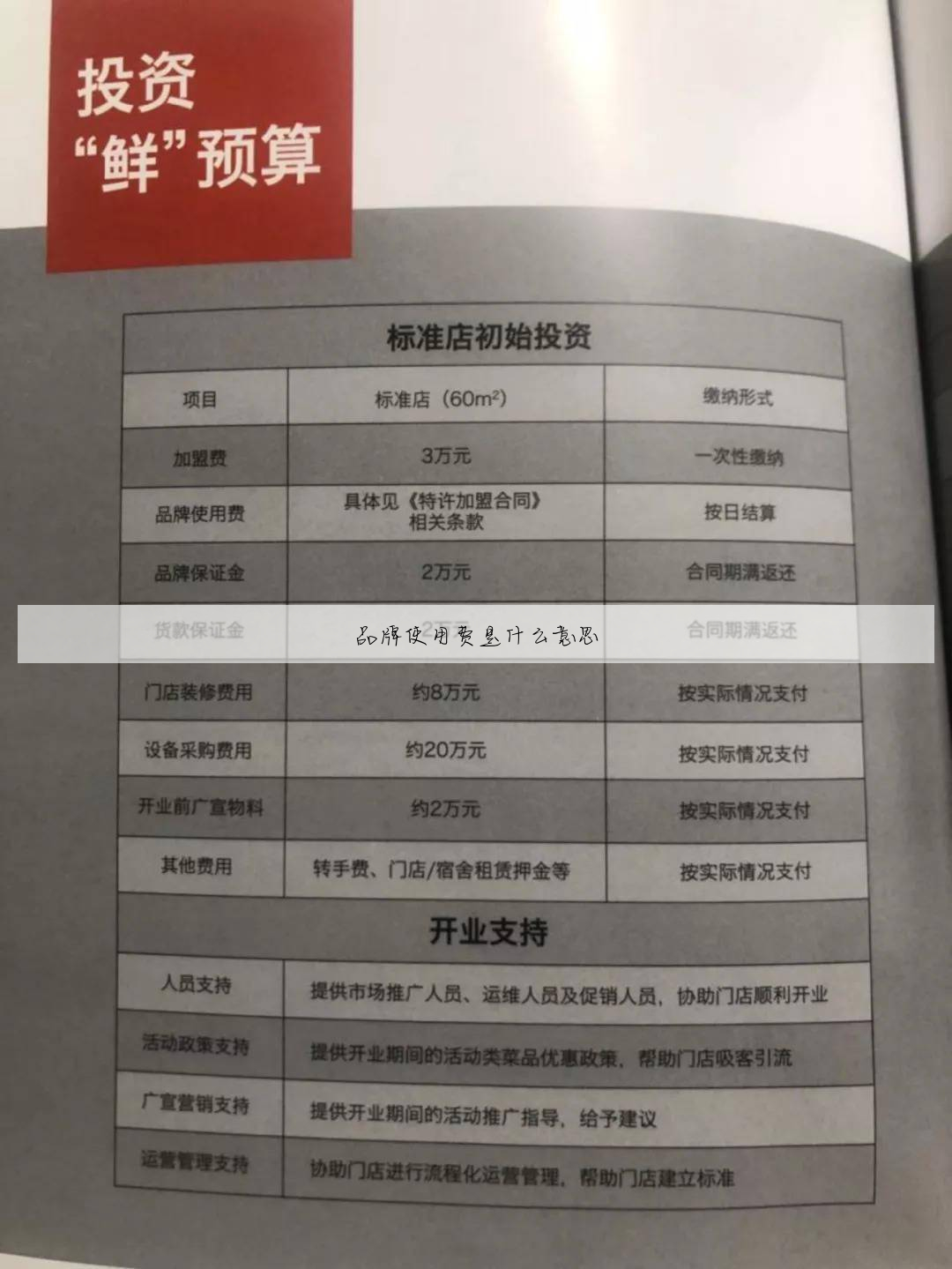 品牌使用费是什么意思