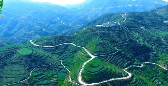海丝茶源·世遗铁艺！大美安溪欢迎您！_腾讯新闻