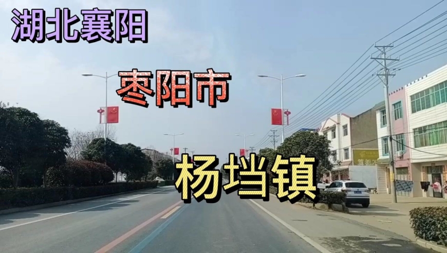 湖北襄阳:枣阳市杨垱镇!