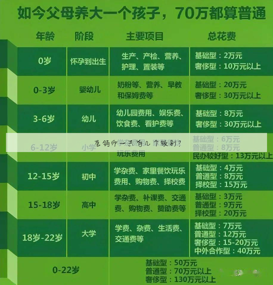 营销师一共有几个级别?