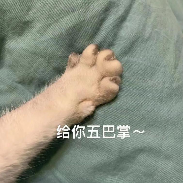 点击查看原图