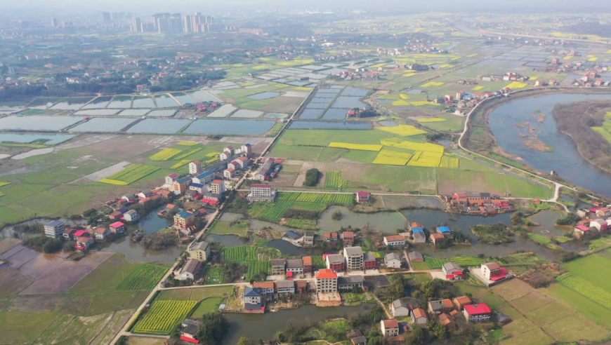 油菜花开时航拍衡阳市蒸水河畔美丽乡村 衡南县三塘镇松山村