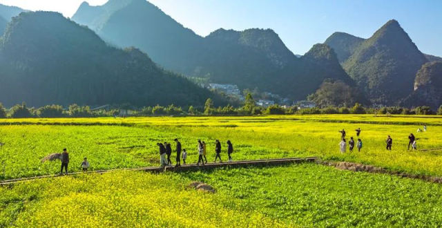 兴义万峰林油菜花海入选2022年度贵州“最美油菜花海”｜旅游路线已备好～_腾讯新闻