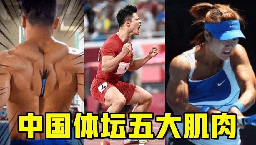 中国体坛五大"非人类"肌肉:军神背肌夹a4纸,苏炳添大腿粗如水桶