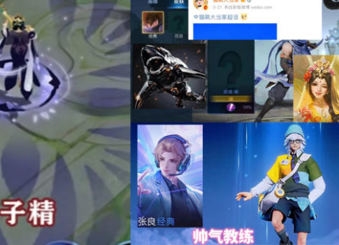 张良喜提4月首款新皮肤,杨玉环蝎子精突袭,体验服韩信削弱