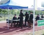 警花与警犬警花参加比赛被对手挑衅警花霸气反击太帅了