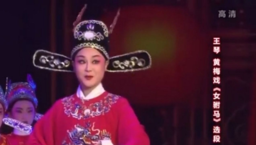 王琴黄梅戏《女驸马》选段,一口好嗓子,未来可期|花戏楼