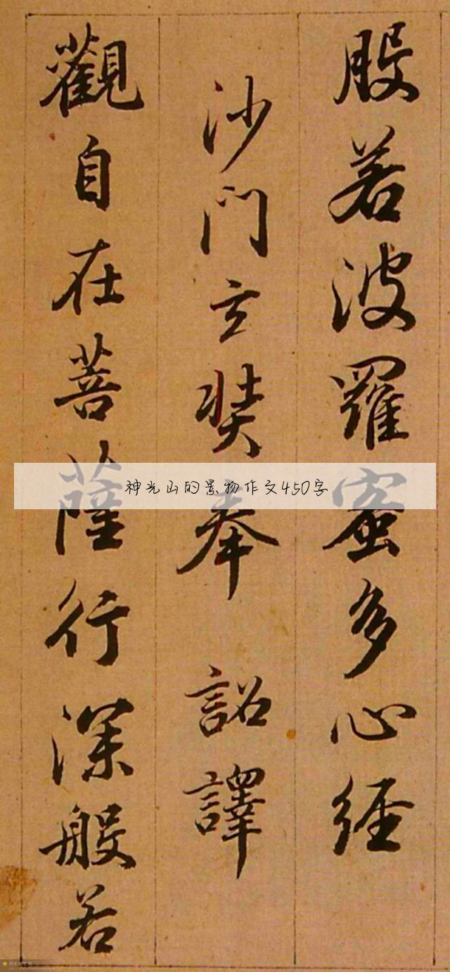 击鼓传花作文