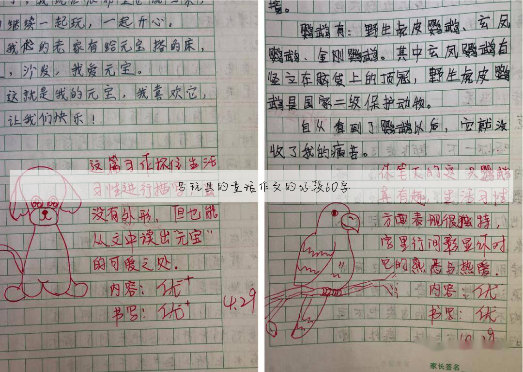 啄木鸟的童话故事