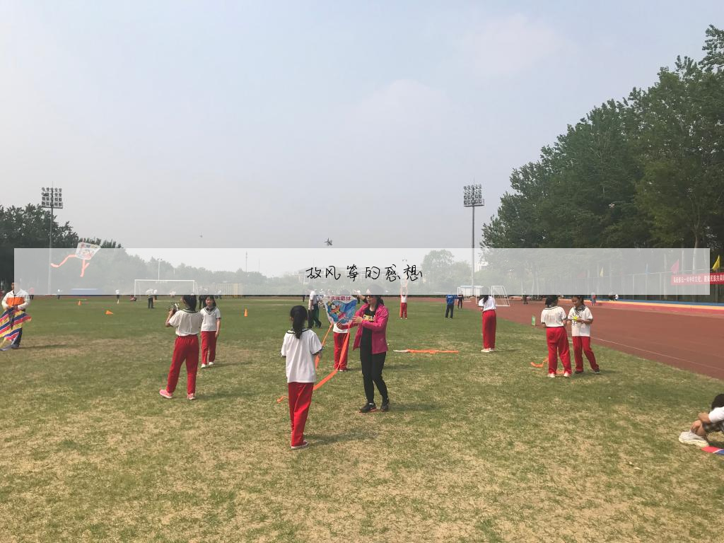 少代会的感想怎么写