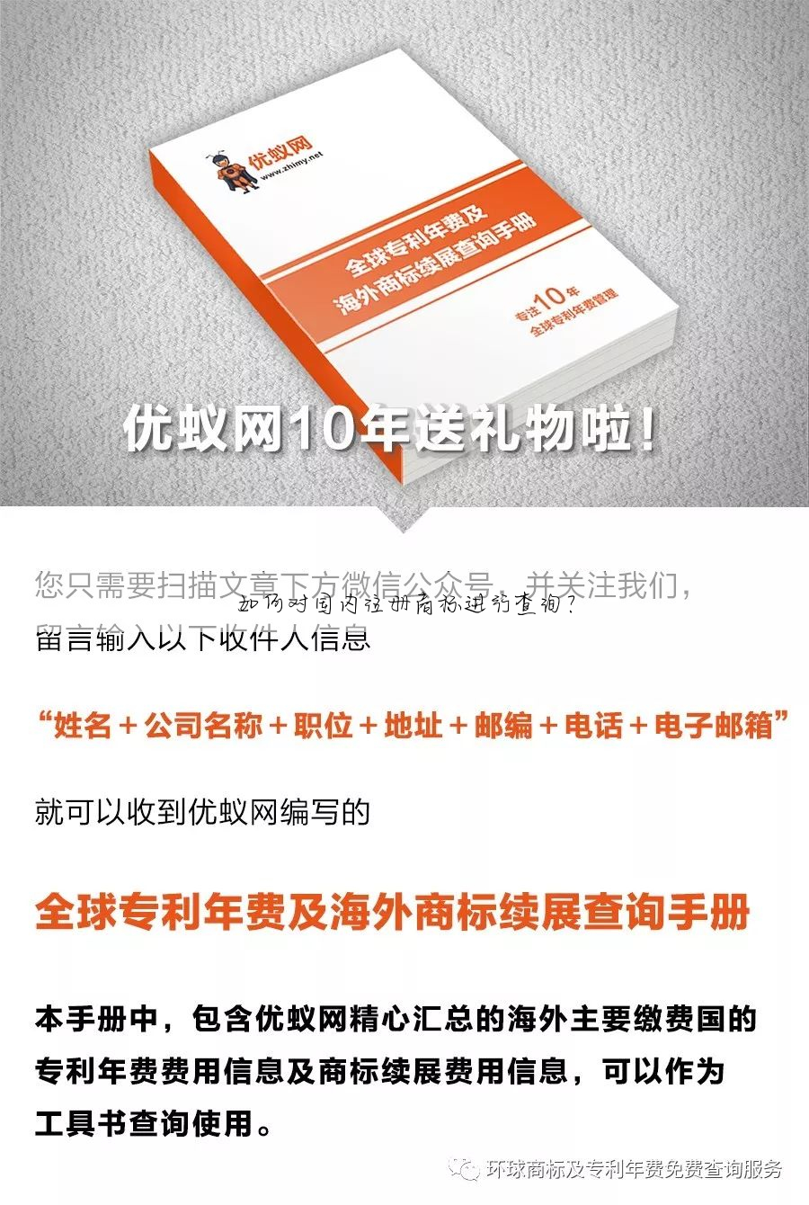 如何对国内注册商标进行查询?