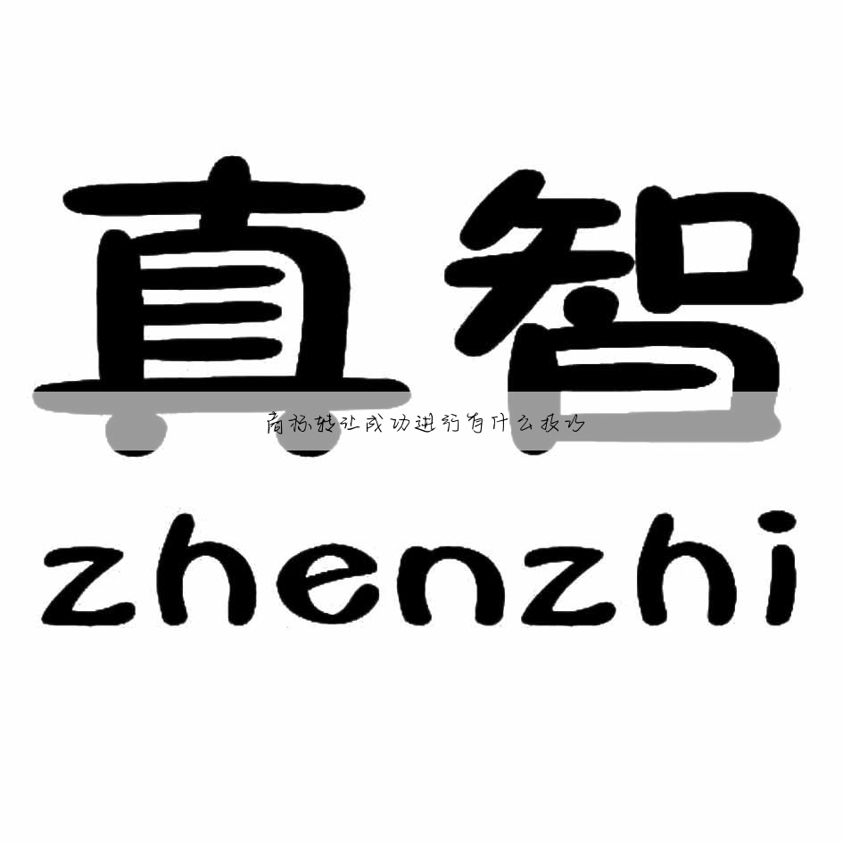 商标转让成功进行有什么技巧