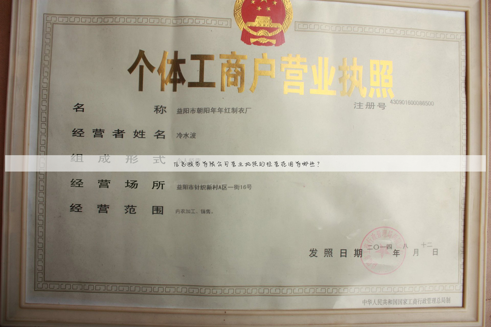 信息服务有限公司营业执照的经营范围有哪些?