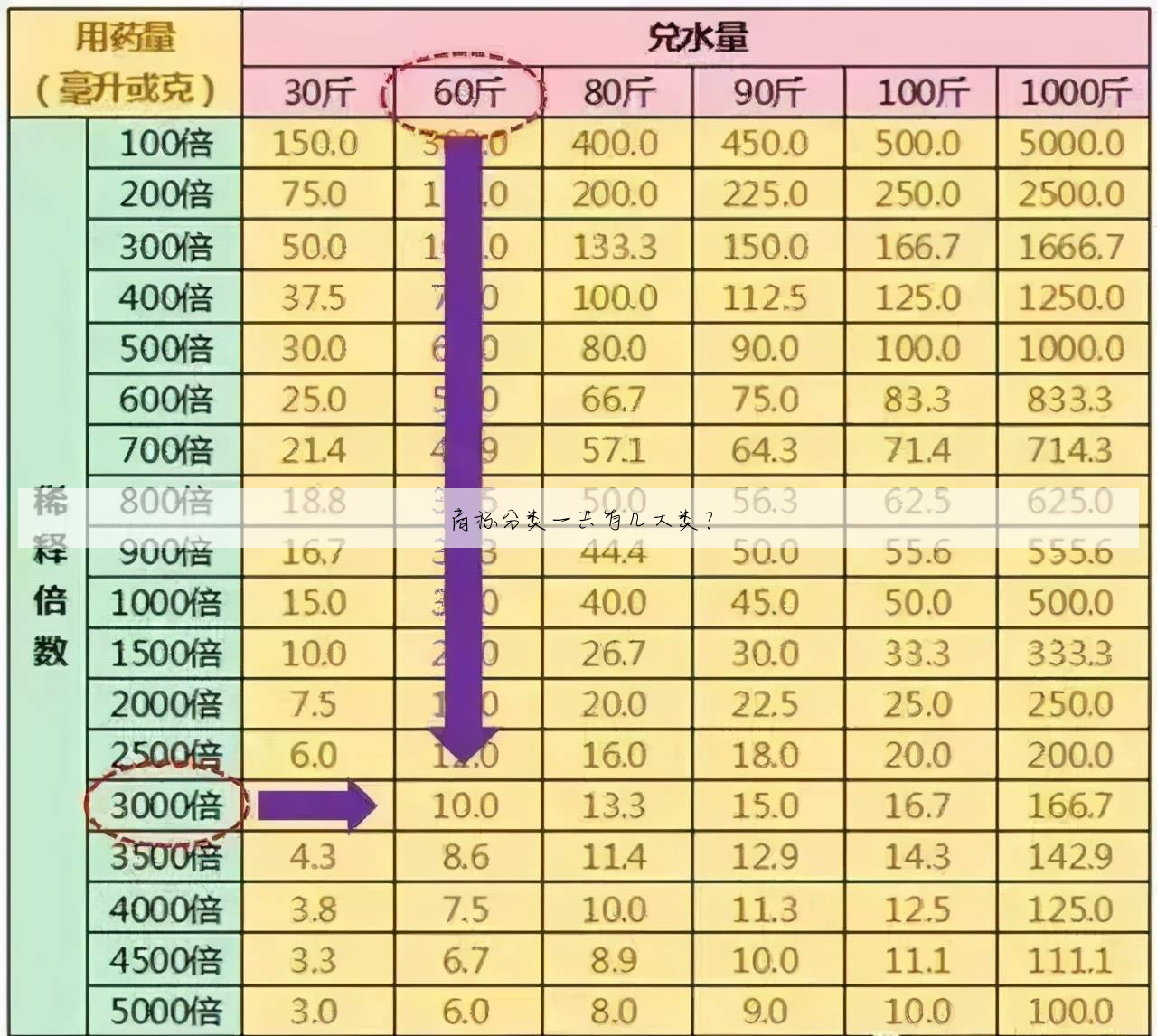 商标分类一共有几大类?