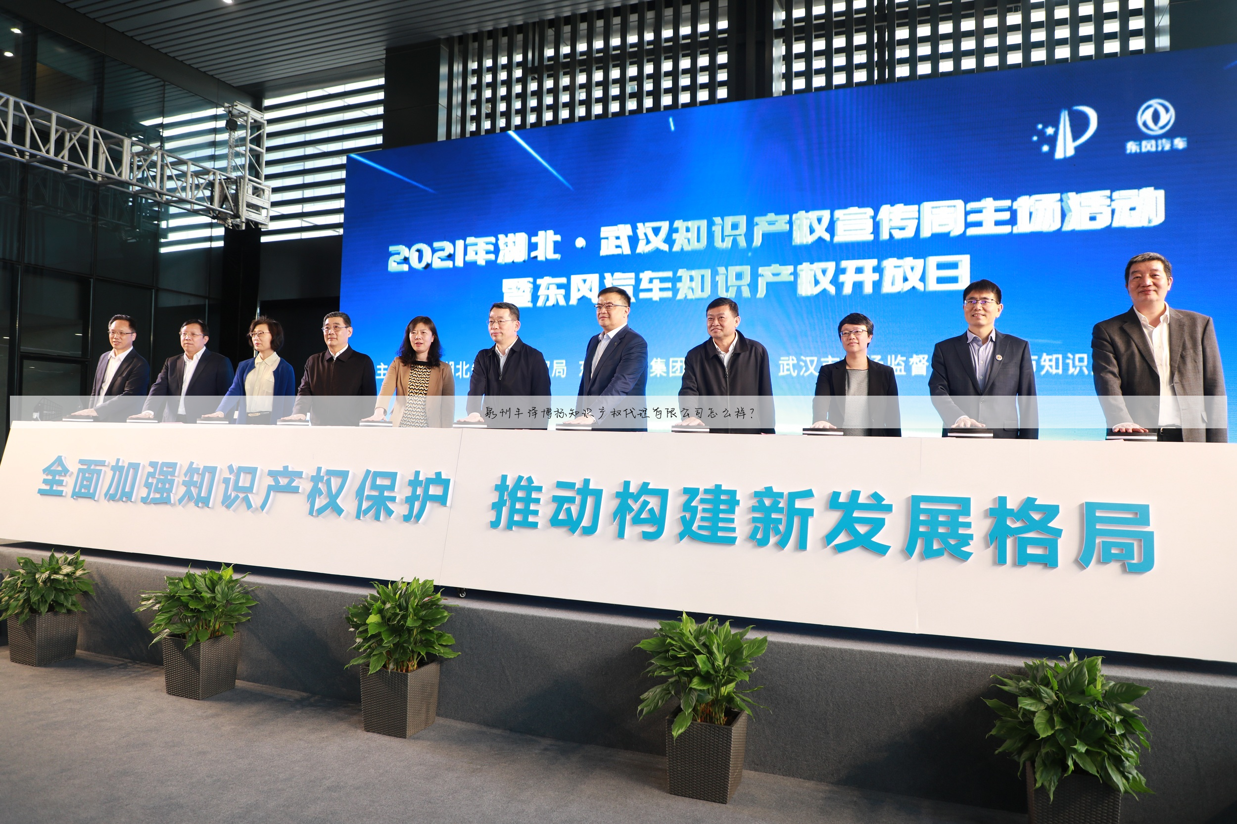 泉州丰泽博标知识产权代理有限公司怎么样?