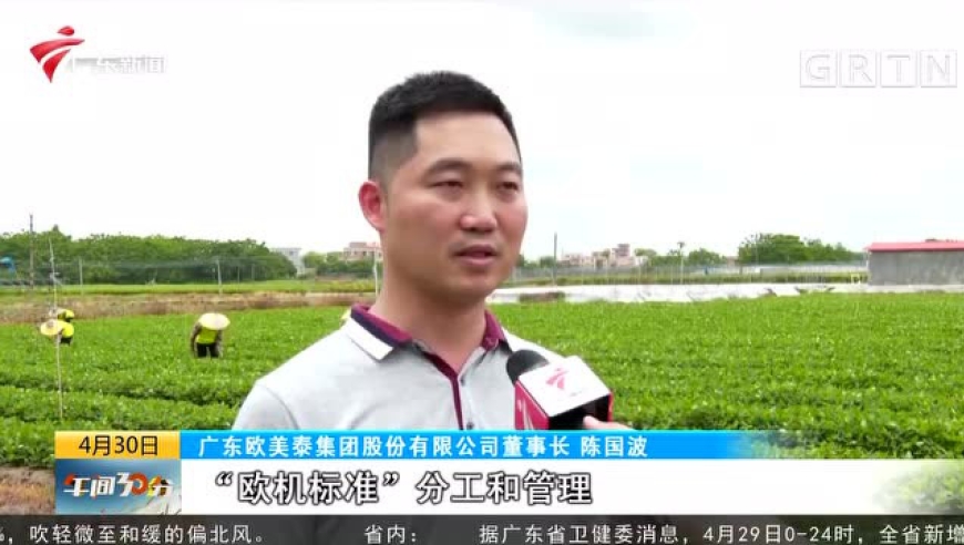 劳动者之歌 陈国波:带领农民走出脱贫致富新路子