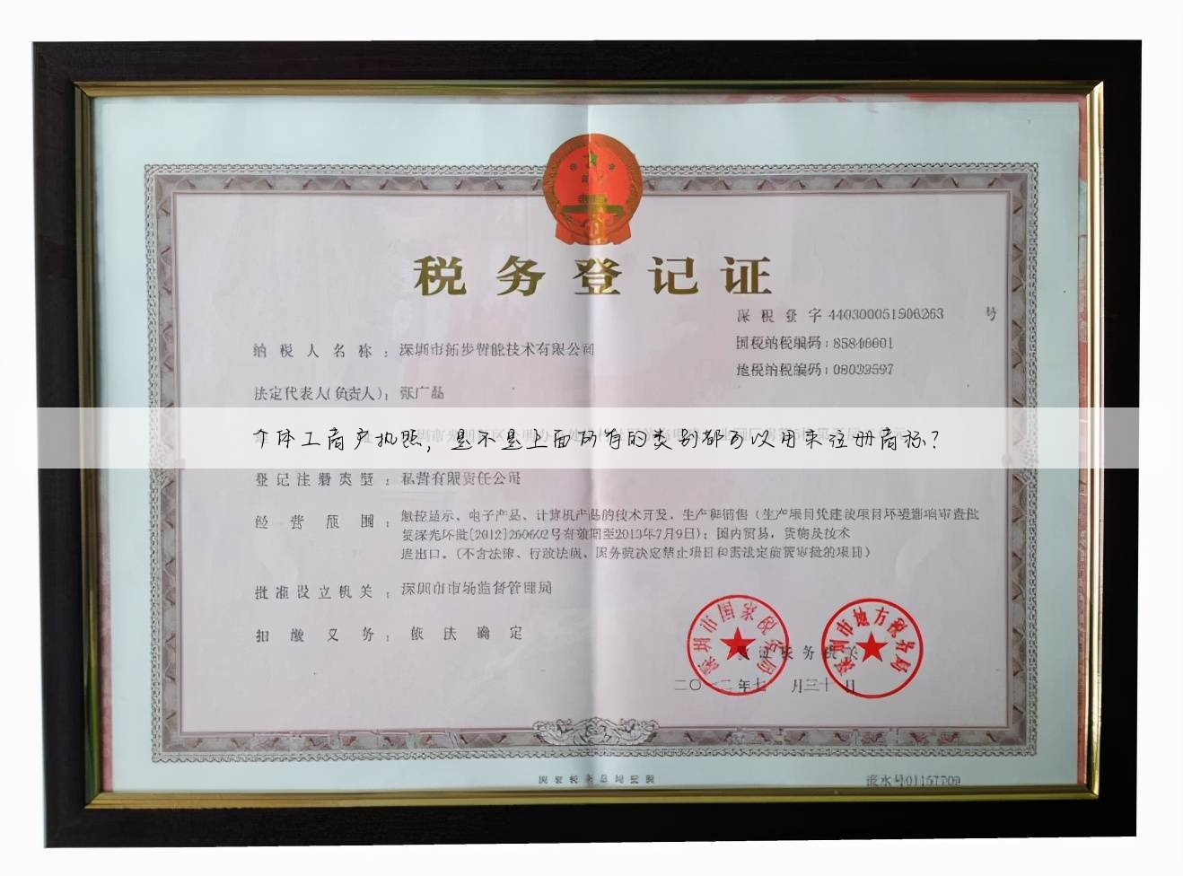 个体工商户执照,是不是上面所有的类别都可以用来注册商标?