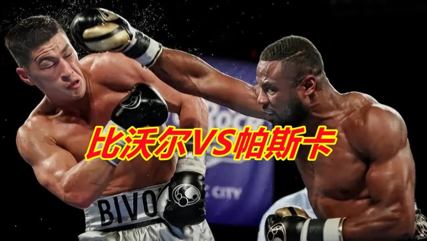 拳王比沃尔组合拳暴揍帕斯卡,技术速度都是顶级,能赢阿瓦雷兹吗