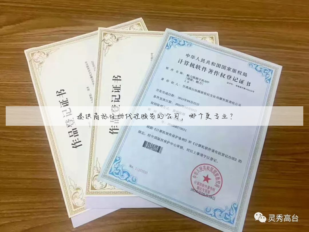 提供商标注册代理服务的公司,哪个更专业?
