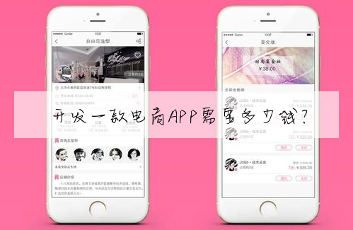開發一款電商APP需要多少錢?
