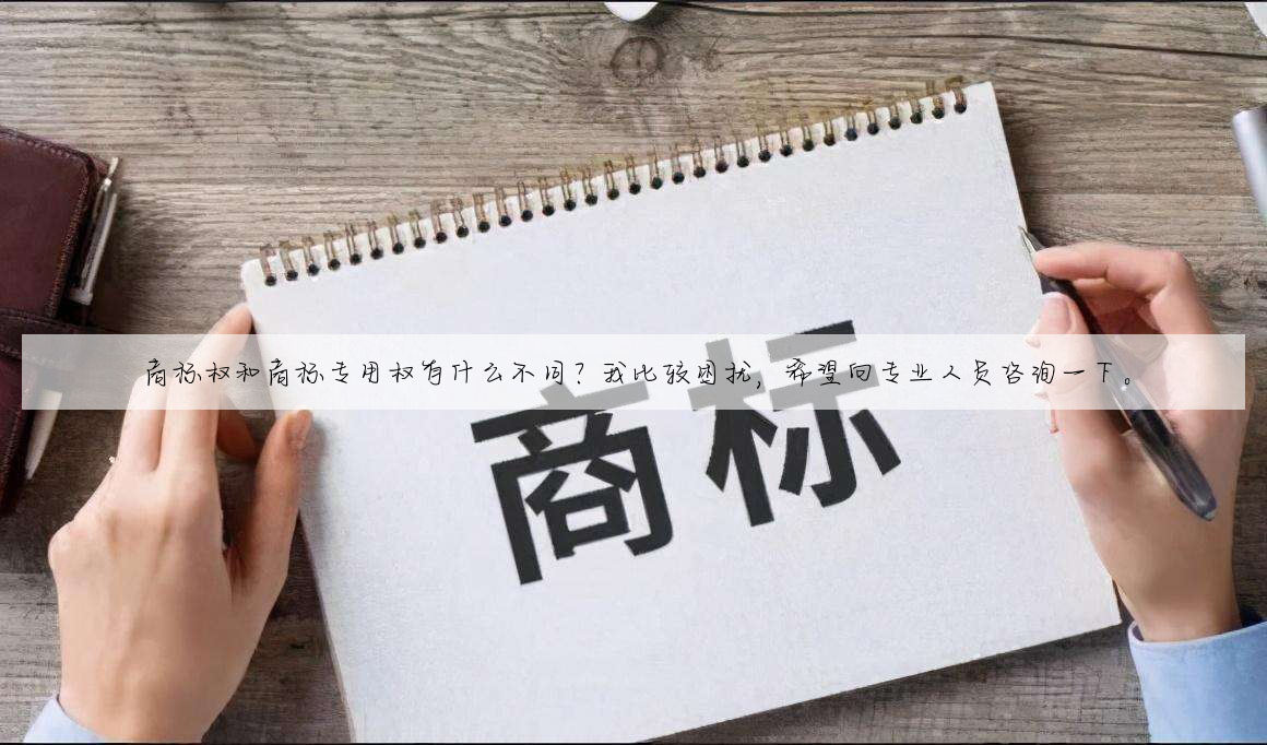 商标权和商标专用权有什么不同?我比较困扰,希望向专业人员咨询一下。