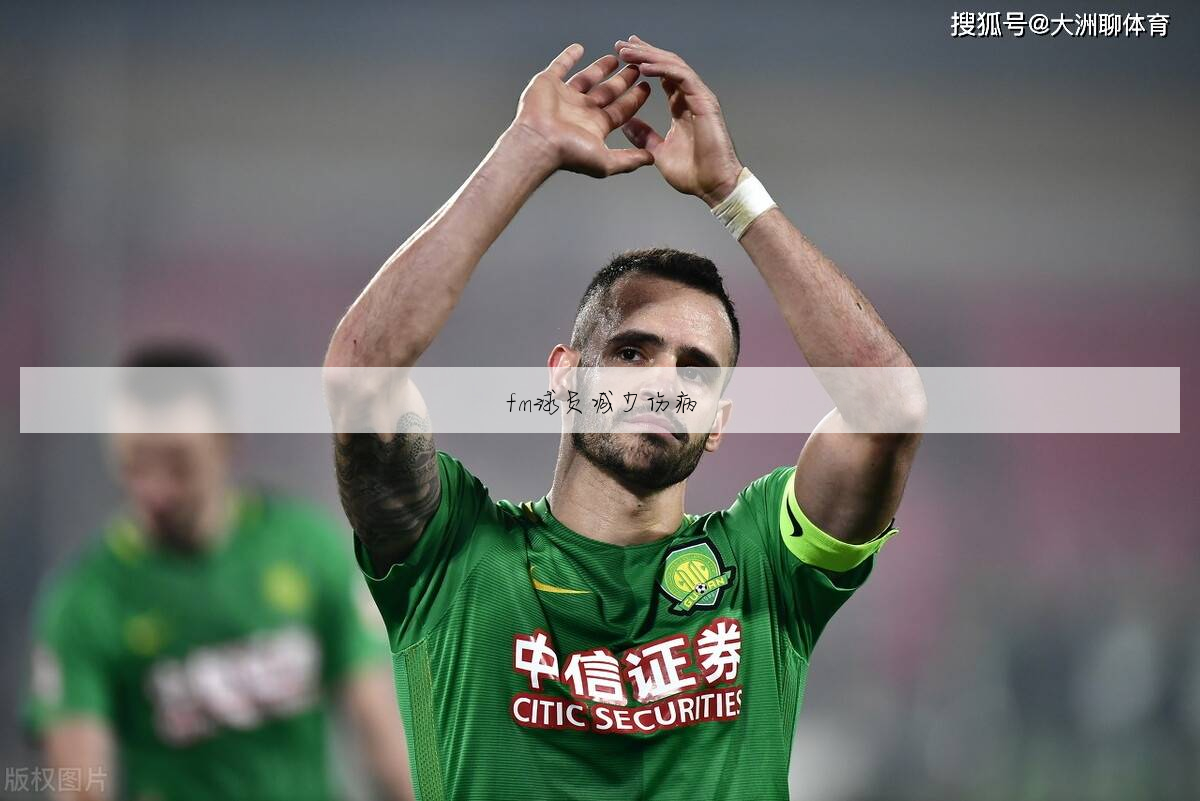 fm2016球员伤病