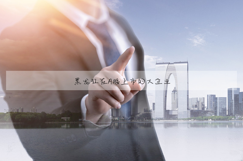 黑龍江在A股上市的大企業