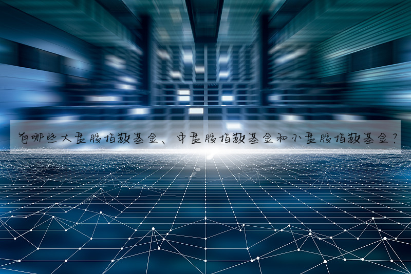有哪些大盤股指數基金、中盤股指數基金和小盤股指數基金?