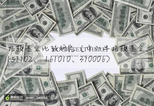 指數基金比較研究(中小半指數基金、159902、 161010、390006)