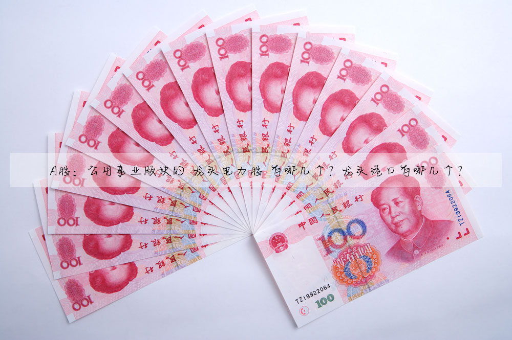 A股:公用事業版塊的 龍頭電力股 有哪幾個?龍頭港口有哪幾個?