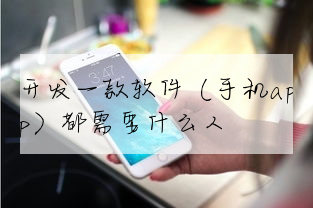 「天津app二次开发」论述開發一款軟件（手機a