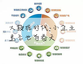 大數據時代:小企業是否也有春天